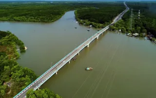 Cầu qua rừng ngập mặn Cần Giờ, biểu tượng của sự kết hợp hài hòa giữa phát triển đô thị và bảo tồn sinh thái.