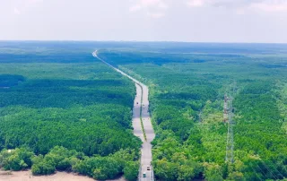 Con đường mát xanh dẫn lối đến Vinhomes Green Paradise Cần Giờ, trải nghiệm hành trình hòa mình với thiên nhiên.