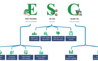 Mô hình đô thị ESG tại Vinhomes Green Paradise: Môi trường, Xã hội và Quản trị bền vững.
