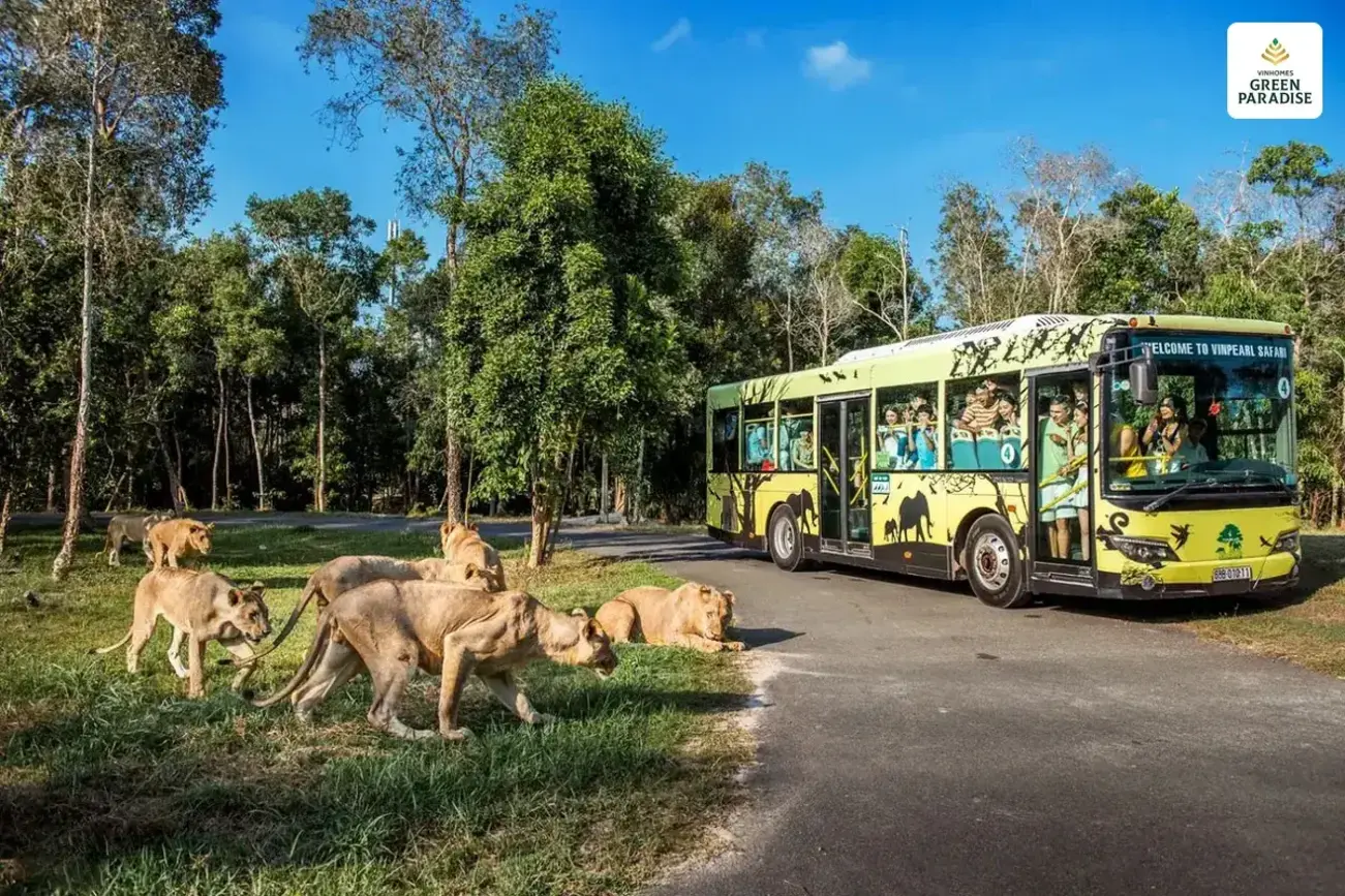 Khám phá Safari Vinhomes Cần Giờ: trải nghiệm độc đáo giữa lòng rừng ngập mặn, giao thoa thiên nhiên và động vật hoang dã.